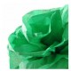 Canson C200992666 papel crepe Verde